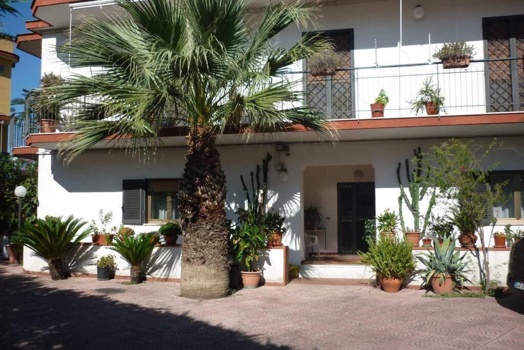 דירות Massa di Somma Casa Vesuvio מראה חיצוני תמונה